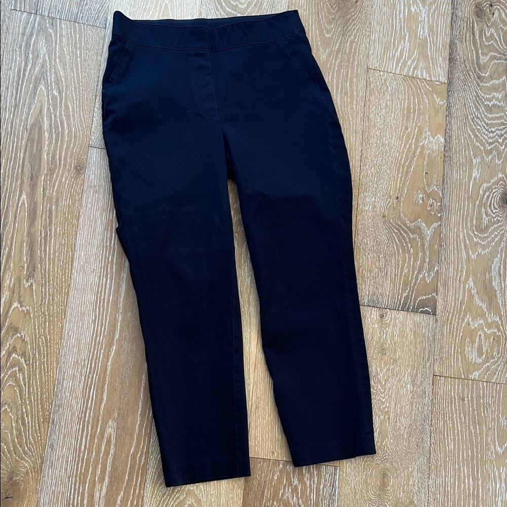 Spanx Crop Pull on Trouser Pants